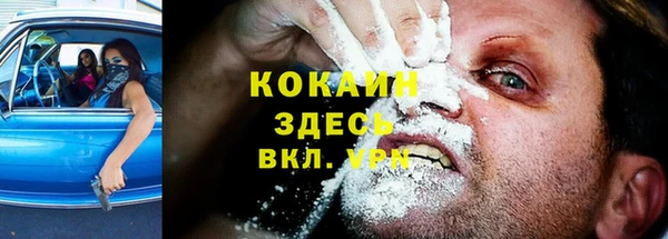 шишки Александровское