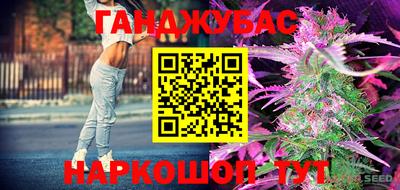 эйфоретик Краснодар
