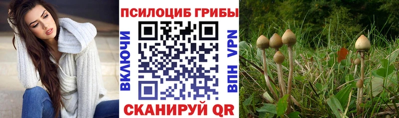как найти закладки Шарыпово hydra tor Псилоцибиновые грибы ЛСД