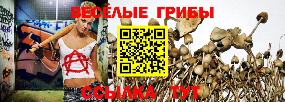 Галлюциногенные грибы Cubensis  Вход с VPN  Шарыпово 