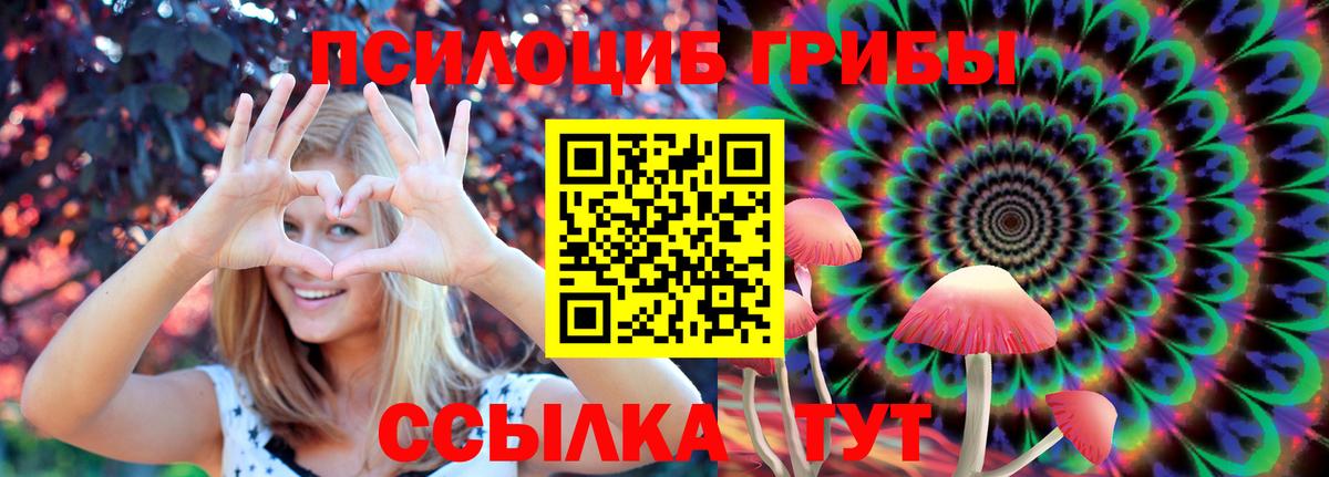 Галлюциногенные грибы мухоморы  Шарыпово  Галлюциногенные грибы Cubensis 