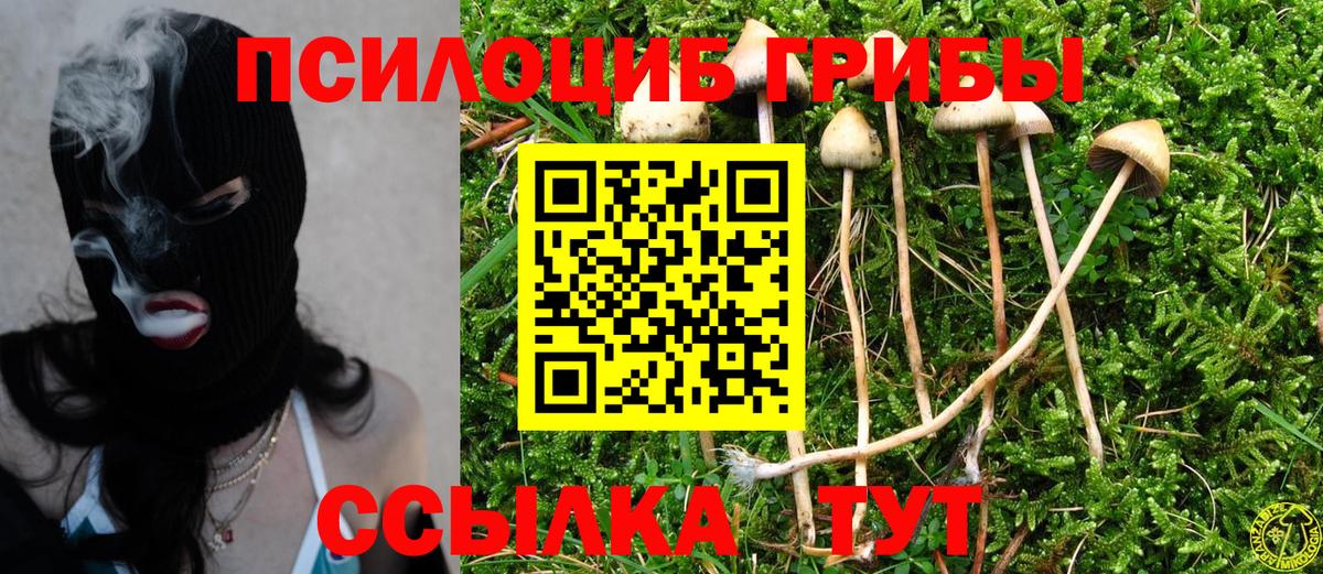 Галлюциногенные грибы прущие грибы Шарыпово